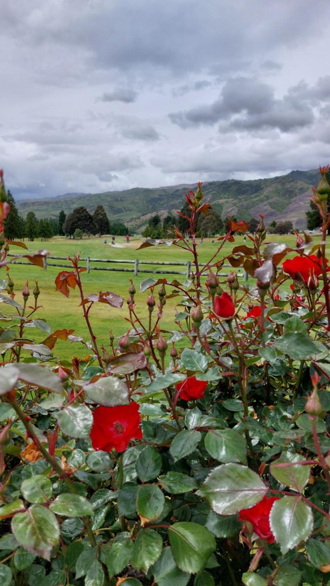 Lake Dunstan Motel Cromwell Luaran gambar